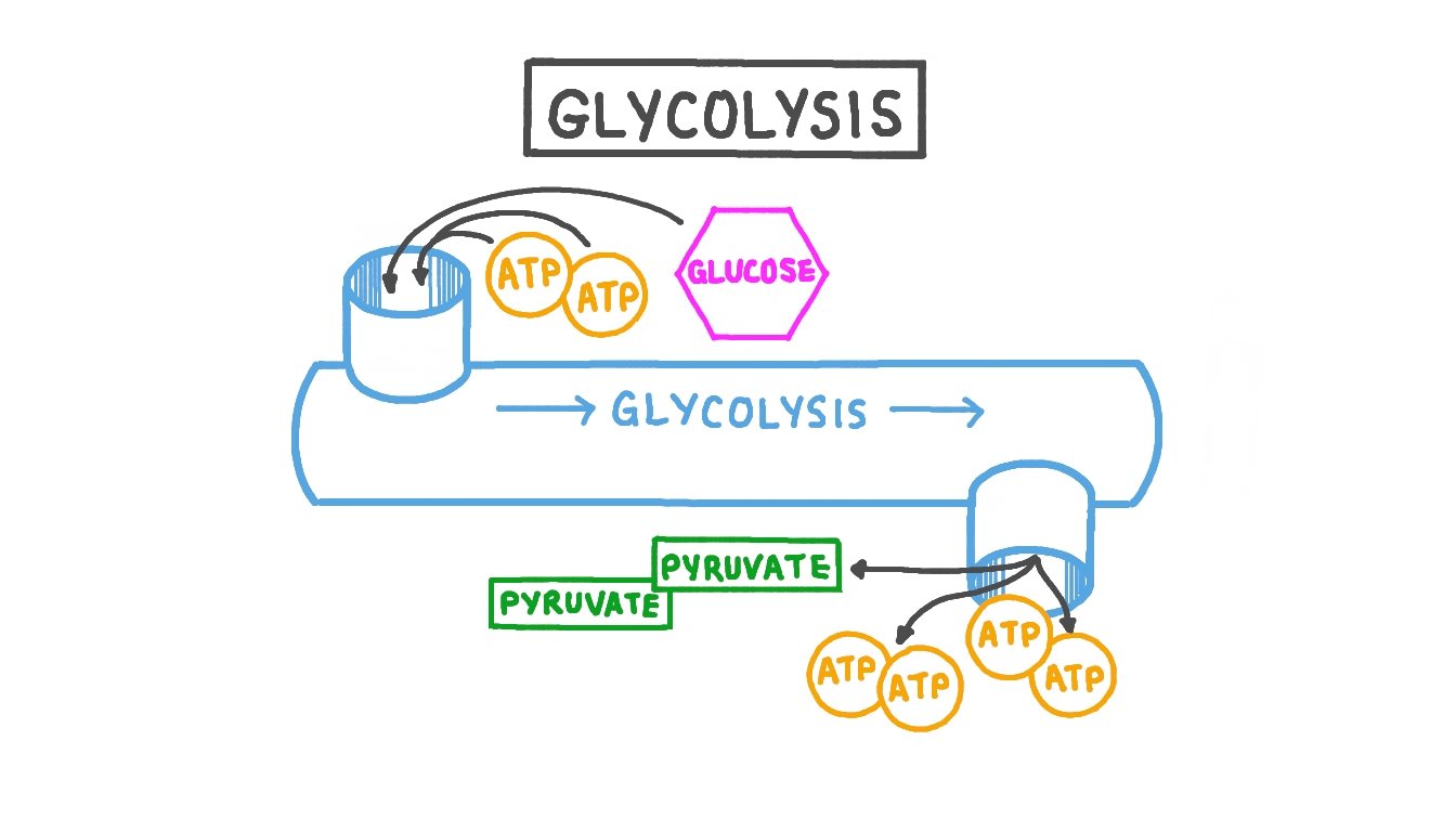 High intensity interval training